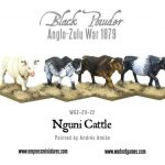WGZ-ZU-22-Nguni-cattle-a_grande