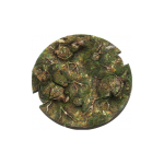 swl-forest-bases-100mm-round-1