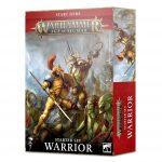 https___trade.games-workshop.com_assets_2021_07_TR-80-15-60010299029-Age of Sigmar -Warrior